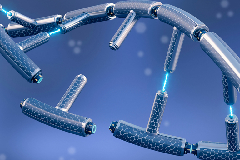 A 3D model of DNA repair in human cells