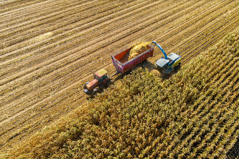 A top-down view of a tractor/combine harvesting a crop field