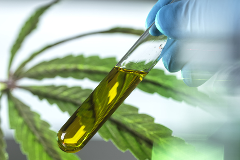 IU Bloomington scientists are among the world-leaders in cannabinoid research